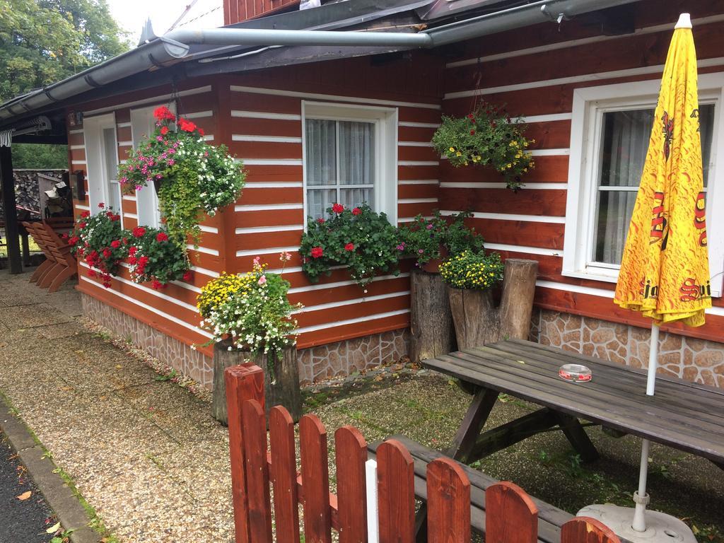 Penzion Podlesi Kořenov Extérieur photo